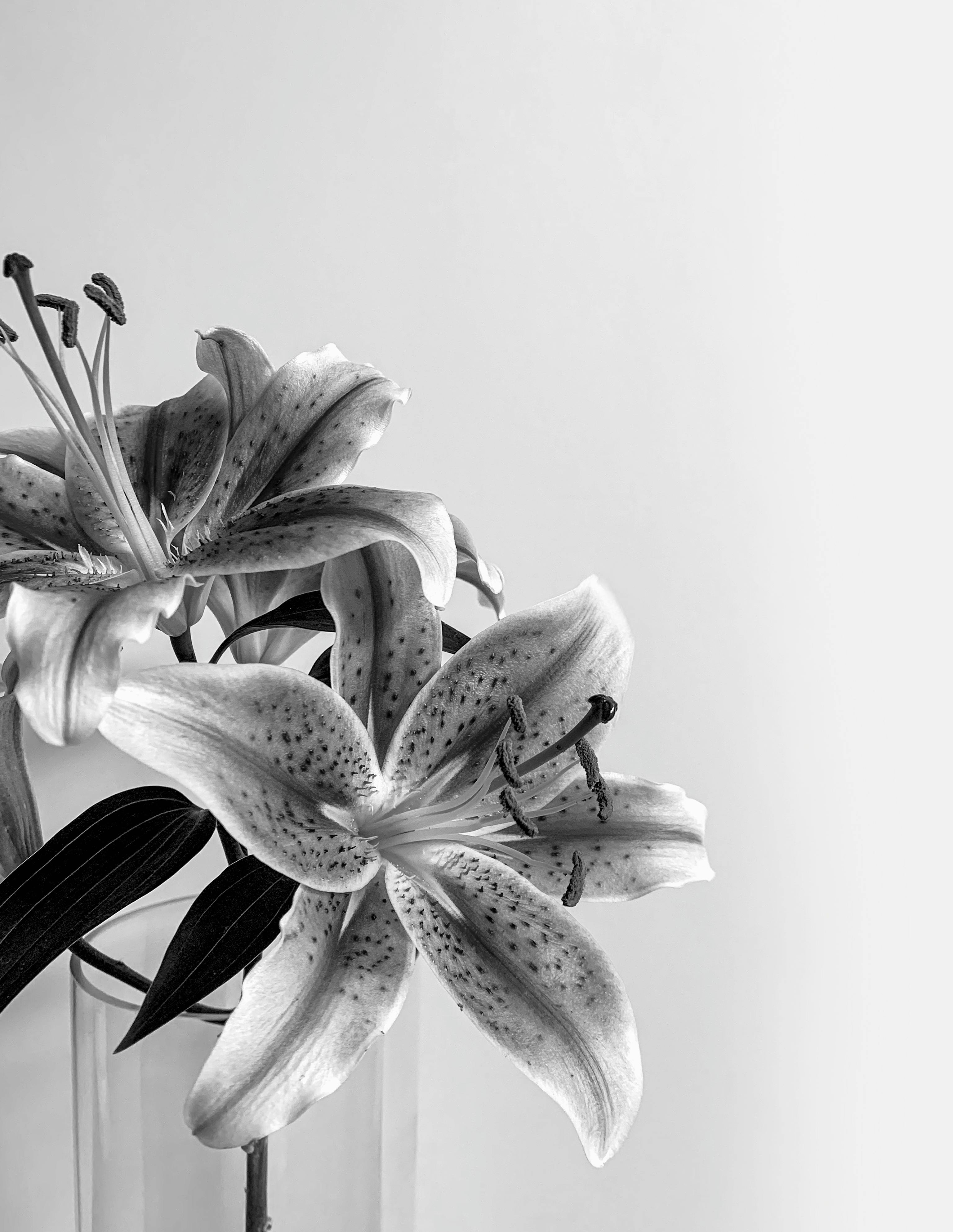 Beautiful flower arrangement